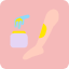 beauty-spa-treatment-depilation-depilatory-wax-hair-removal-waxing-icon