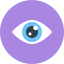 eye-organ-control-flat-flat-icon-web-icon-web-watch-icon