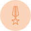 achievement-award-badge-pennant-prize-star-icon