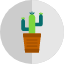 cactus-nature-plant-decoration-succulent-flower-summer-icon