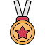 gold-medal-award-achievement-winner-icon