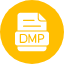 dmp-file-format-type-icon