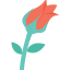 lumen-rose-icon