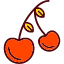 cherries-cherry-food-fruit-nutrition-icon