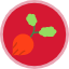 baby-european-radish-red-root-vegetable-fruits-and-vegetables-icon