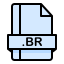 br-file-format-extension-document-icon