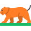 animal-big-cat-feline-leopard-mammal-panther-wild-icon