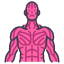 sinews-muscle-body-internal-organ-physical-sinew-icon