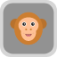 animal-capuchin-jungle-monkey-wildlife-zoo-amazon-rainforest-icon