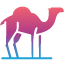 camel-desert-dromedary-hump-ride-zoo-icon