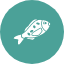 jew-fish-animal-ocean-water-icon