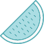 food-fruit-healthy-melon-vitamins-water-icon