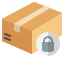 protection-lock-safety-delivery-parcel-pack-service-icon-icon