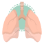 anatomy-lungs-organ-healthcare-pulmonary-medical-icon