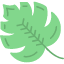 canada-leaf-maple-nature-icon