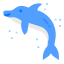 dolphin-marine-sea-wild-life-icon