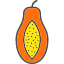 food-fruit-fruits-healthy-papaya-icon