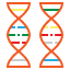 dna-biology-genetic-reserch-structure-icon