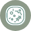 cell-biologycell-cells-plant-icon-icon