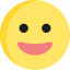 face-grin-emoji-icon
