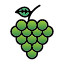 food-fruit-grape-grapes-healthy-juice-vegetable-icon