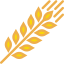 grain-icon