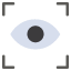 eye-focus-view-icon