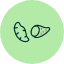 batata-carbs-food-potato-sweet-vegetable-yam-icon-icons-icon