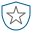 defense-star-shield-shield-security-protection-safety-secure-safe-achievement-award-icon