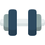 strength-barbell-strong-gym-dumbbell-icon