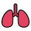 medical-care-health-healthcare-lungs-icon