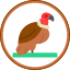 african-bird-carrion-condor-death-scavenger-vulture-icon