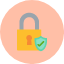data-gdpr-padlock-safe-secure-security-shield-icon
