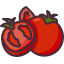 tomatofruit-food-organic-vegan-healthy-diet-vegetarian-restaurant-icon