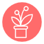flower-pot-plant-decoration-icon