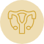 reproductive-system-icon