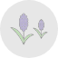 essential-oil-hyacinth-flower-aromatherapy-herb-flowers-icon