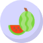 food-fruit-organic-vegan-vegetarian-watermelon-fruits-and-vegetables-icon