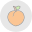 peach-food-fruit-vegan-vegetarian-fresh-healthy-icon