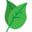 ecological-ecology-environment-green-leaf-icon