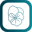florist-flower-fragrance-ladylike-pansy-petals-spring-icon