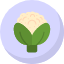broccoli-cauliflower-nutrition-diet-vegetable-healthiest-gardening-icon