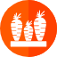 carrots-icon