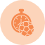 clock-exercise-stopwatch-time-timer-icon