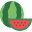 food-fruit-fruits-healthy-watermelon-icon