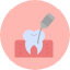 root-canal-dentist-dental-icon