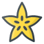 carambolafriut-star-starfiut-health-food-healthy-icon