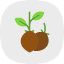 seeds-package-agriculture-farm-farming-gardening-icon