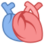 medical-heart-icon