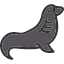 in-the-wild-animal-seal-mammal-sea-icon